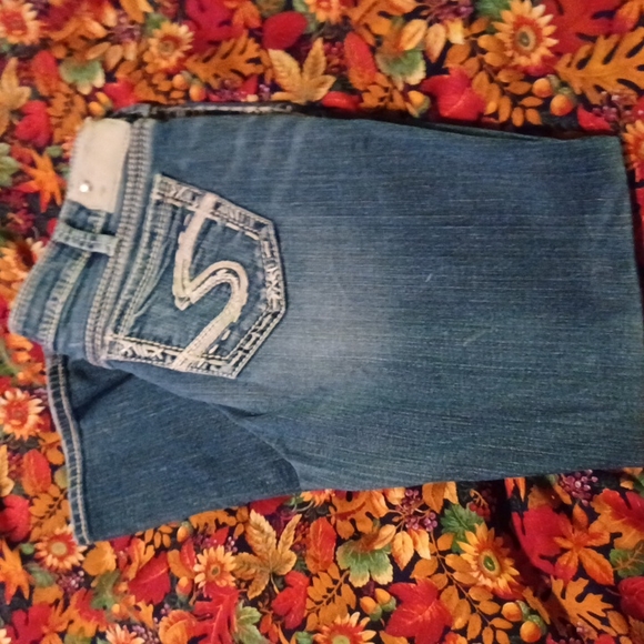 Womens 31 Silver *Tuesday bootcut*